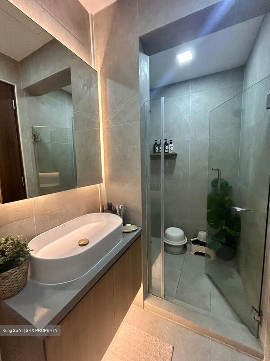 Shamrock Park (D10), Apartment #477877901